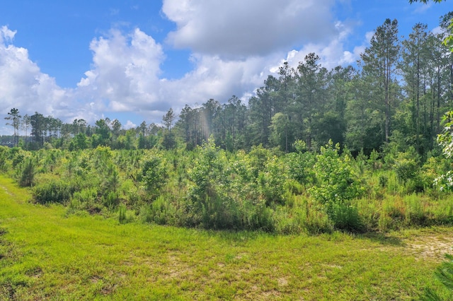 0000 N Brewington Rd Unit 3, Manning, SC 29102