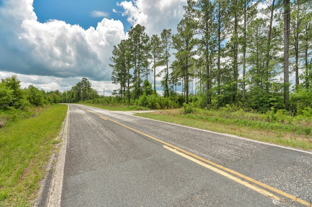 0000 N Brewington Rd Unit 3, Manning, SC 29102