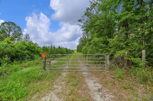 0000 N Brewington Rd Unit 3, Manning, SC 29102