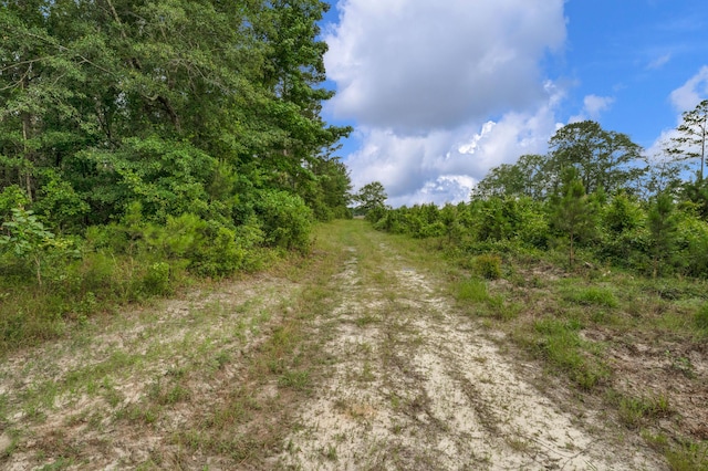0000 N Brewington Rd Unit 3, Manning, SC 29102
