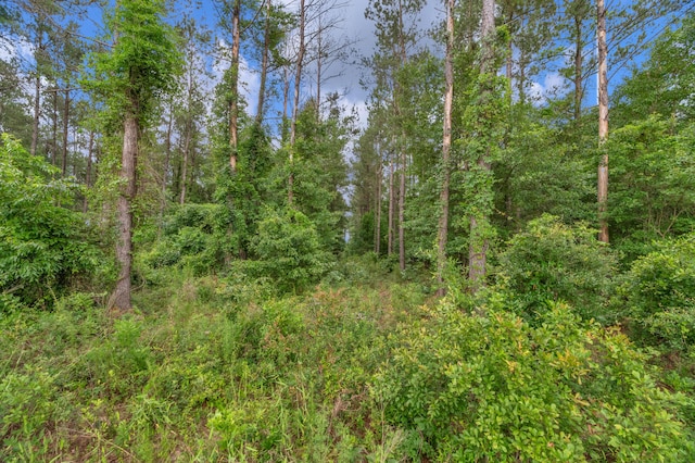0000 N Brewington Rd Unit 3, Manning, SC 29102
