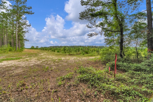 0000 N Brewington Rd Unit 3, Manning, SC 29102