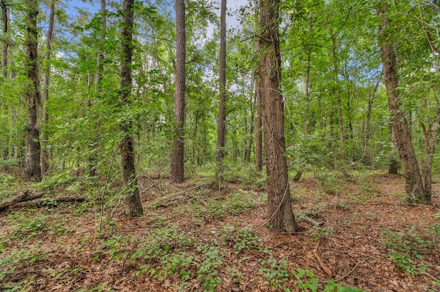 0000 N Brewington Rd Unit 3, Manning, SC 29102