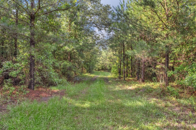 0000 N Brewington Rd Unit 3, Manning, SC 29102