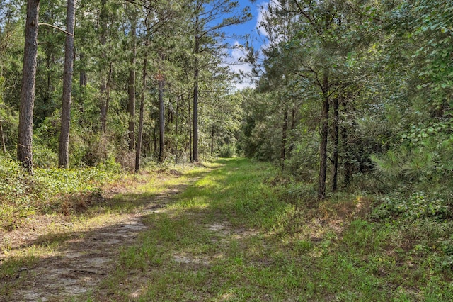 0000 N Brewington Rd Unit 3, Manning, SC 29102