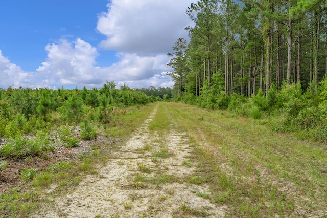 0000 N Brewington Rd Unit 3, Manning, SC 29102