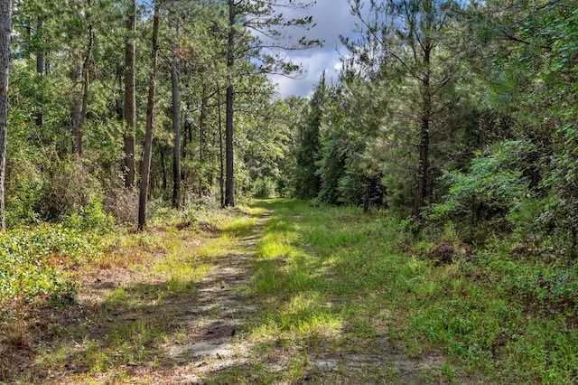 0000 N Brewington Rd Unit 3, Manning, SC 29102