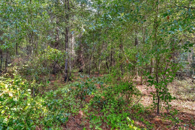 0000 N Brewington Rd Unit 3, Manning, SC 29102