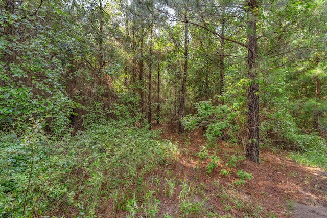 0000 N Brewington Rd Unit 3, Manning, SC 29102