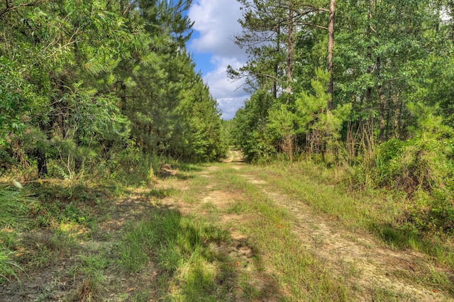 0000 N Brewington Rd Unit 3, Manning, SC 29102