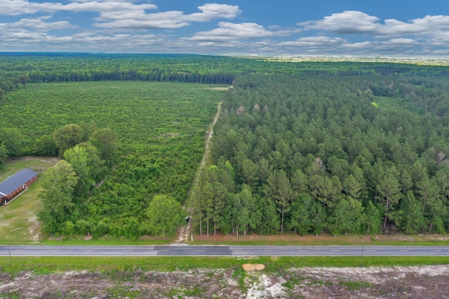 0000 N Brewington Rd Unit 3, Manning, SC 29102