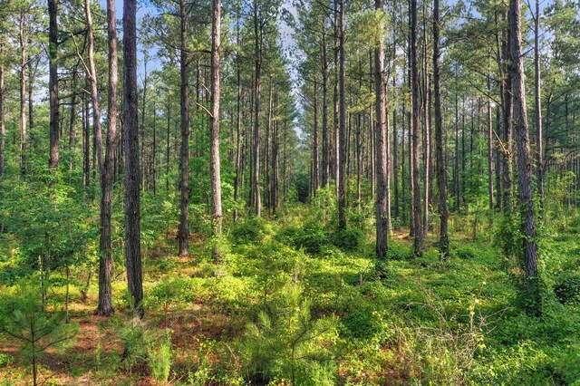 0000 N Brewington Rd Unit 3, Manning, SC 29102
