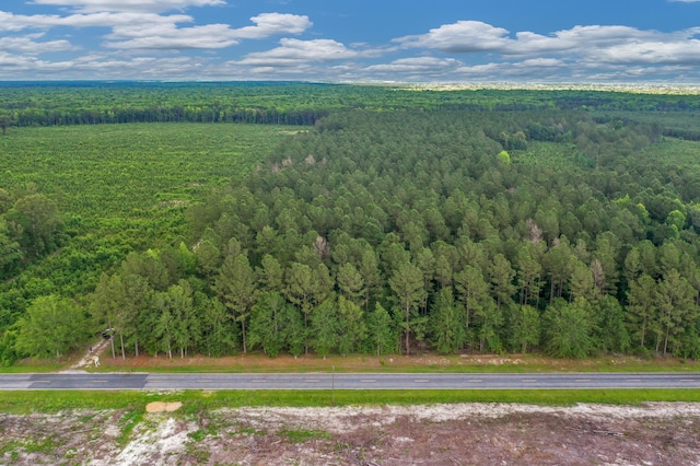 0000 N Brewington Rd Unit 3, Manning, SC 29102