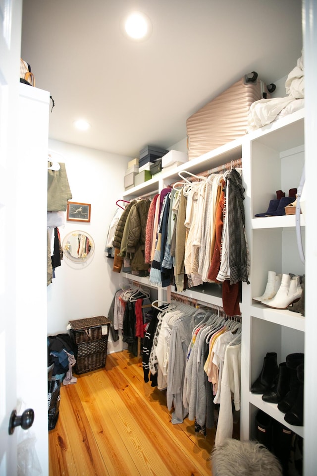 spacious closet featuring wood-type flooring