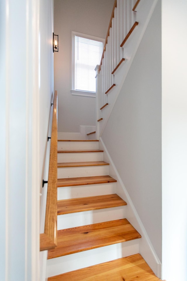 staircase featuring hardwood / wood-style floors