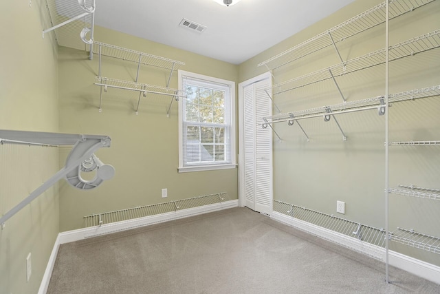 spacious closet with carpet flooring