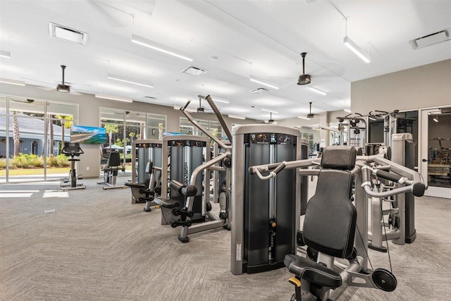 gym with a ceiling fan, visible vents, and carpet