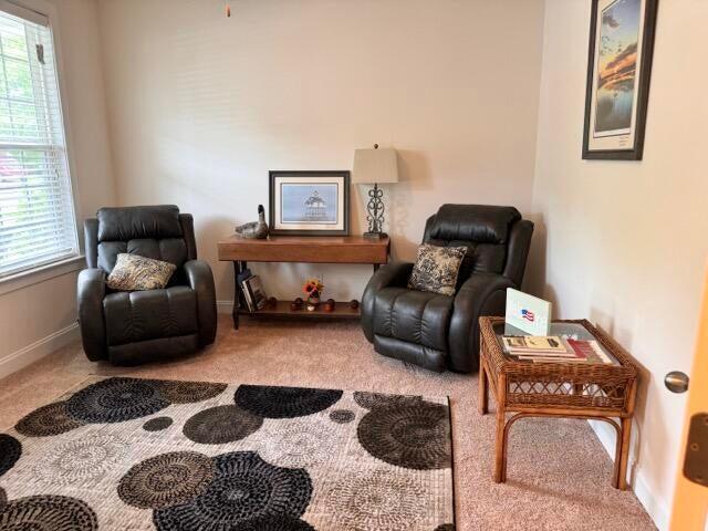 living area featuring carpet flooring and a wealth of natural light