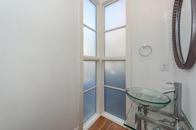 bathroom with hardwood / wood-style floors