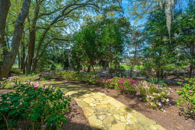 4233 Haulover Dr, Johns Island, SC 29455 - view of yard
