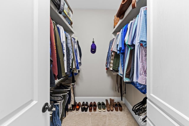 241 Clubside Dr, Lexington, SC 29072 - walk in closet with carpet