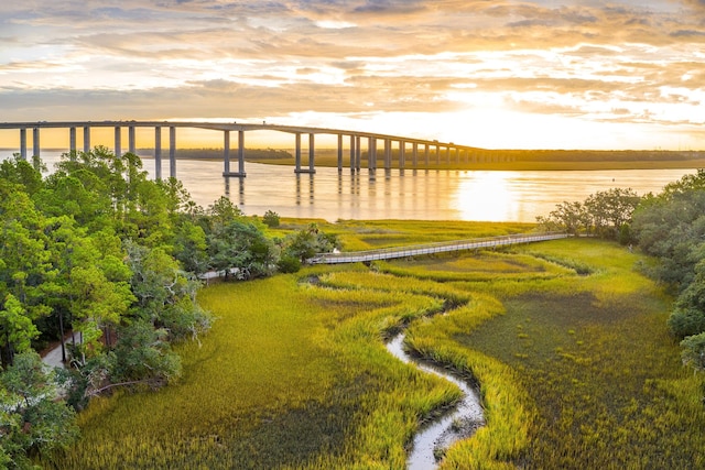 553 Old Compass Rd, Daniel Island, SC 29492 - water view