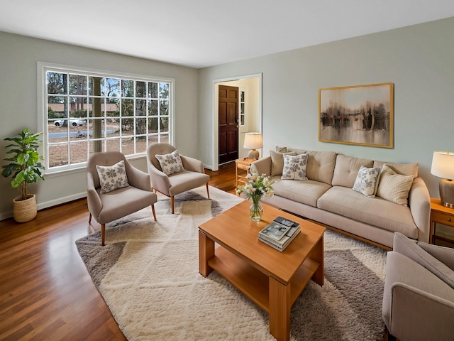 living room with wood-type flooring