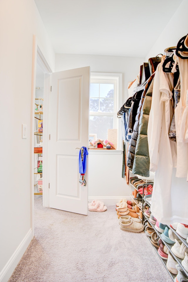 spacious closet with carpet flooring