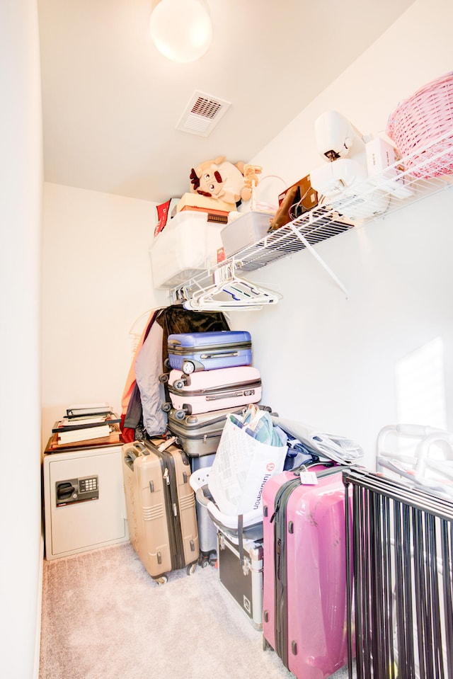 walk in closet with light colored carpet