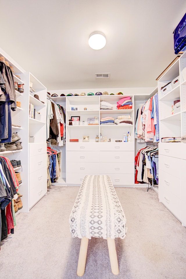 spacious closet with light carpet