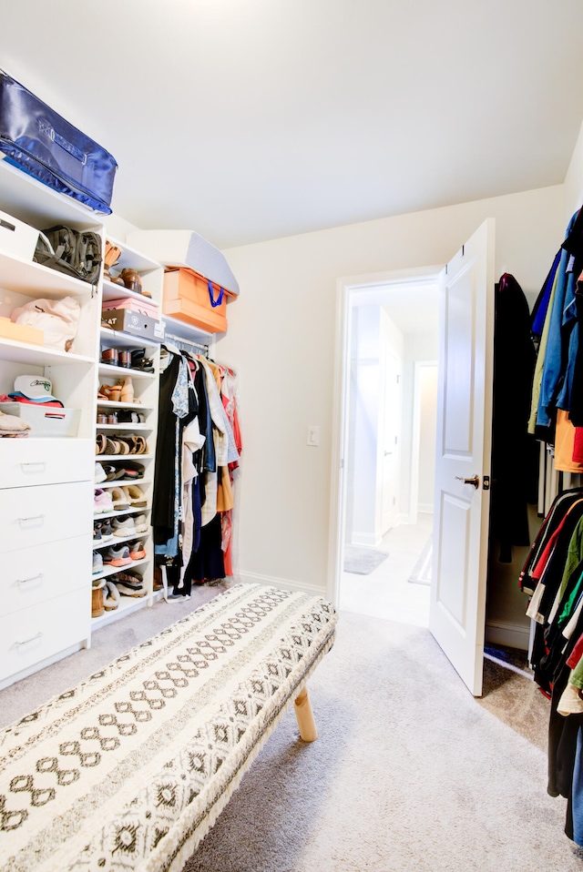 walk in closet with light colored carpet