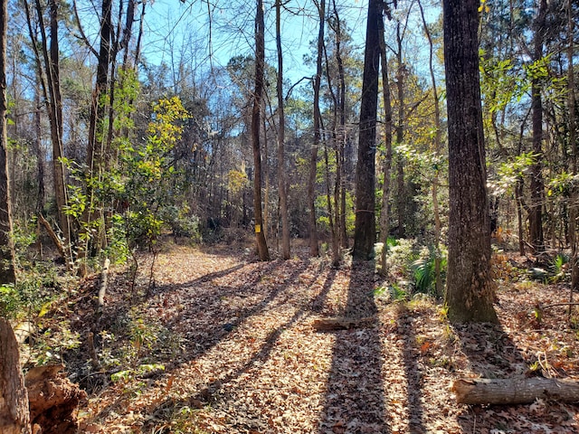 7085 Inman Rd, Meggett, SC 29449