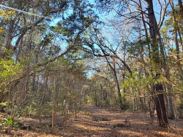 7085 Inman Rd, Meggett, SC 29449