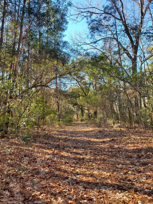 7085 Inman Rd, Meggett, SC 29449