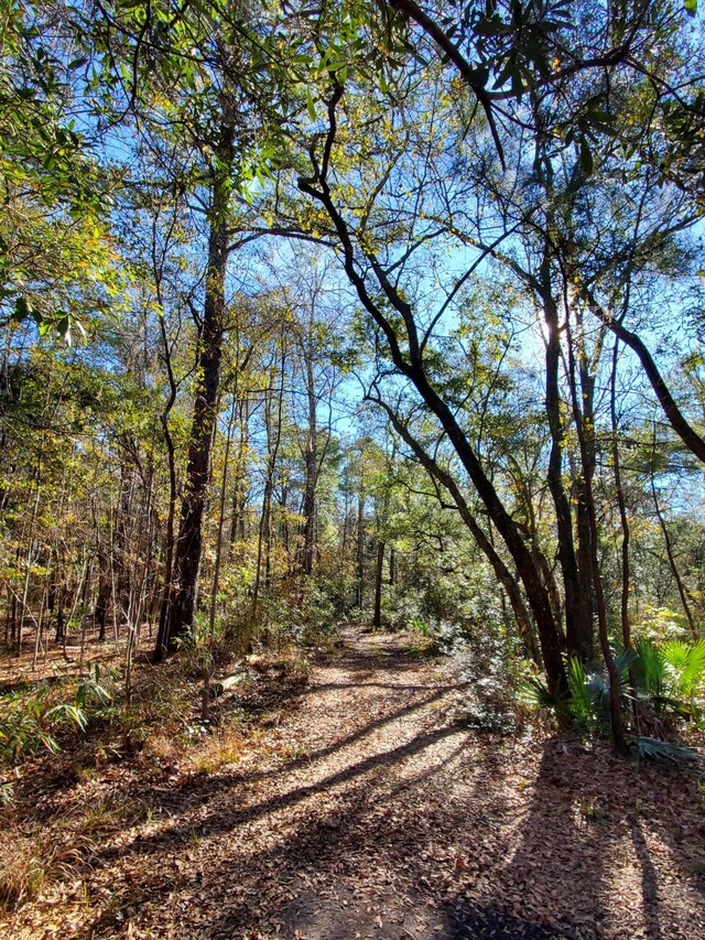 7085 Inman Rd, Meggett, SC 29449