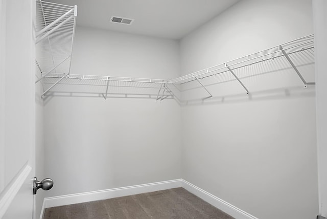 661 Black Pine Rd, Moncks Corner, SC 29461 - walk in closet with dark colored carpet
