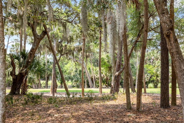 2500 The Bent Twig, Seabrook Island, SC 29455 - view of local wilderness