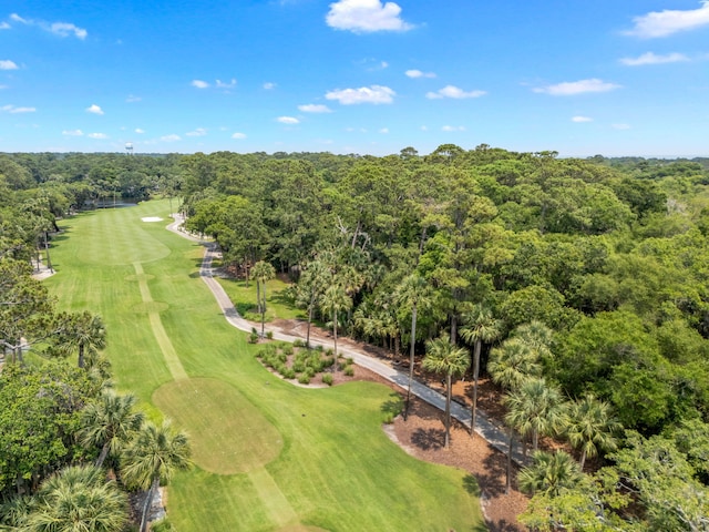 2500 The Bent Twig, Seabrook Island, SC 29455 - bird's eye view of a golf course and a forest