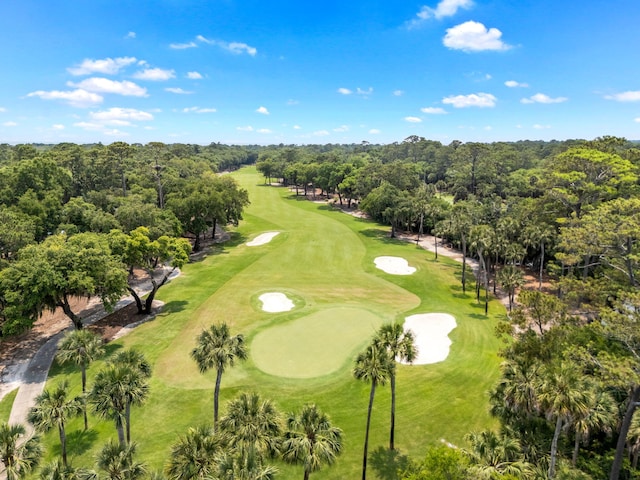 2500 The Bent Twig, Seabrook Island, SC 29455 - bird's eye view of a golf club and a tree filled landscape