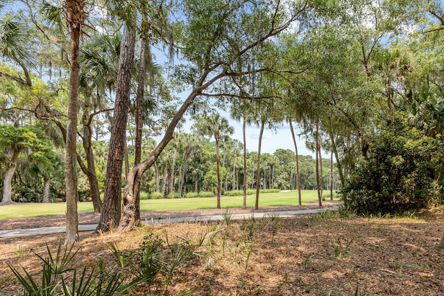 2500 The Bent Twig, Seabrook Island, SC 29455 - view of green lawn