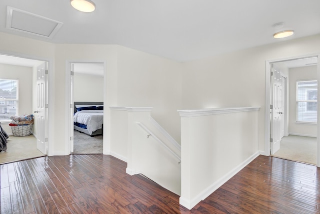 145 Woodbrook Way, Moncks Corner, SC 29461 - corridor with an upstairs landing, dark wood-style floors, plenty of natural light, and attic access