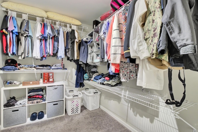 145 Woodbrook Way, Moncks Corner, SC 29461 - walk in closet featuring carpet floors