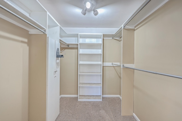 walk in closet with light colored carpet