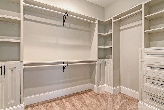 walk in closet with carpet flooring