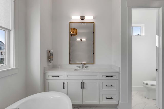 bathroom with vanity, toilet, a wealth of natural light, and a washtub