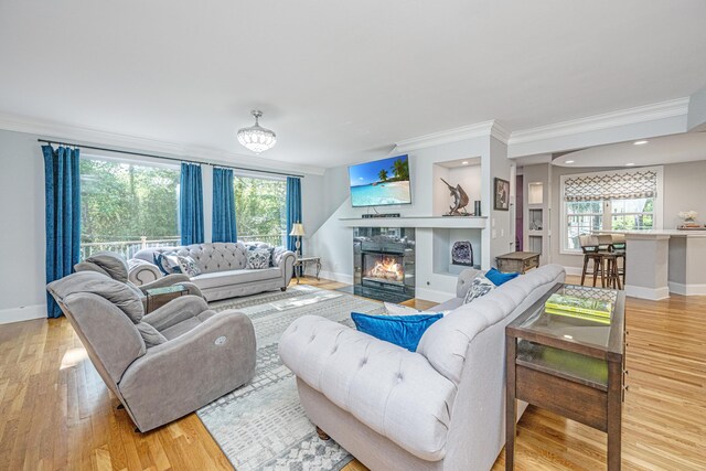 living area with crown molding, wood finished floors, baseboards, and a fireplace