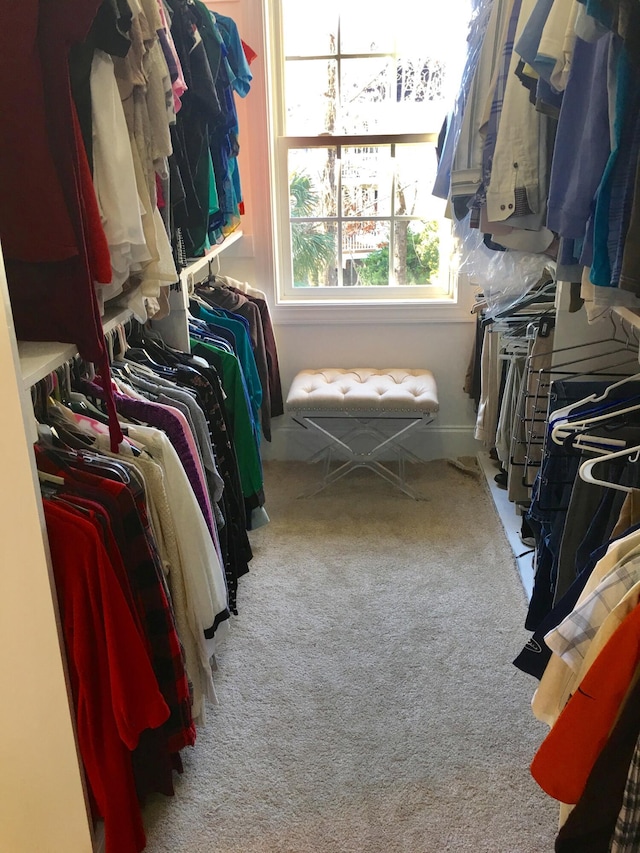 walk in closet with carpet