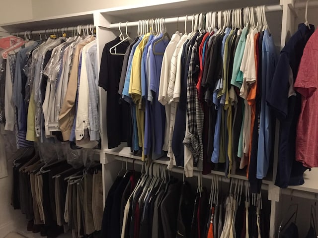view of spacious closet