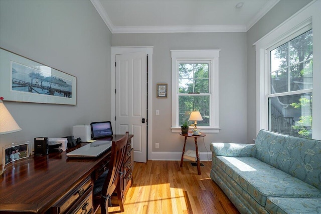 office space featuring baseboards, ornamental molding, light wood finished floors, and a wealth of natural light