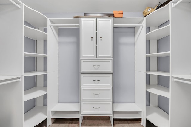1309 Llewellyn Rd, Mount Pleasant, SC 29464 - view of spacious closet